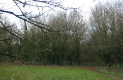 Howardian Local Nature Reserve 2009