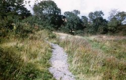 Howardian Local Nature Reserve 1974