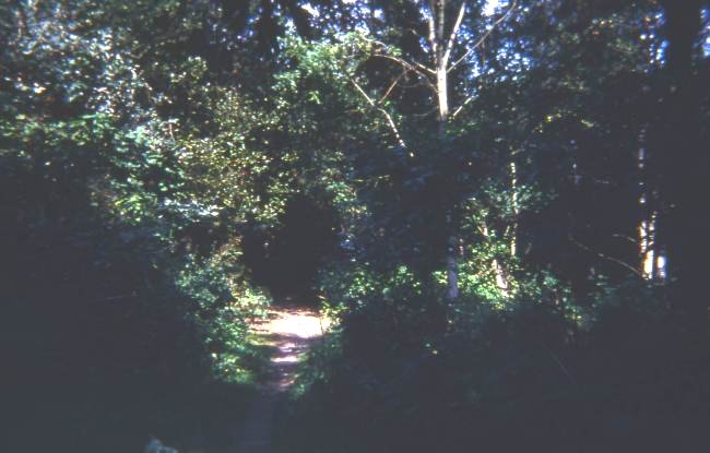 Howardian Local Nature Reserve 1974