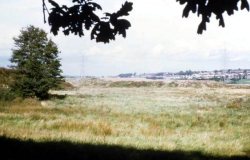 Howardian Local Nature Reserve 1974 Howardian Local Nature Reserve 1974