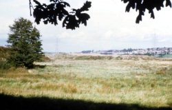 Howardian Local Nature Reserve 1974