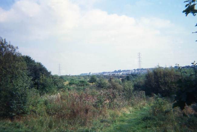 Howardian Local Nature Reserve 1974