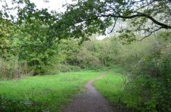 Howardian Local Nature Reserve 2009