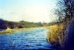 Howardian Local Nature Reserve 1974