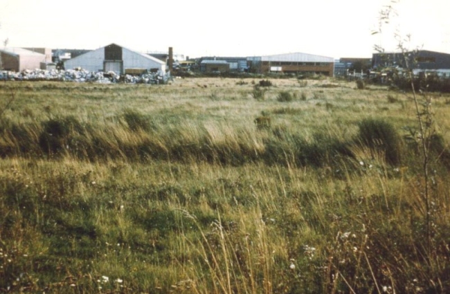 Howardian Local Nature Reserve 1974