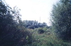 Howardian Local Nature Reserve 1994