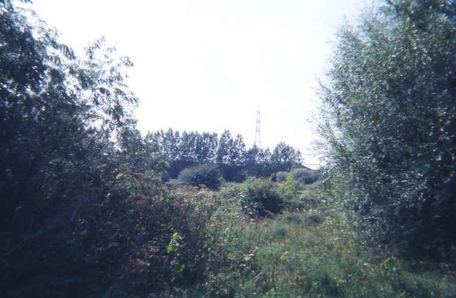 Howardian Local Nature Reserve 1974