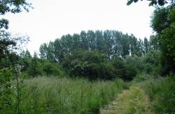 Howardian Local Nature Reserve 2009 Howardian Local Nature Reserve 2009