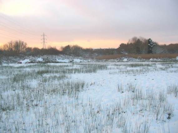 Howardian Local Nature Reserve Snow 2009