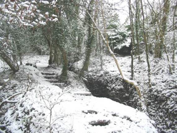 Howardian Local Nature Reserve Snow 2009