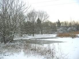 Winter wetland area