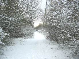 Path leading to Ipswich Road east entrance