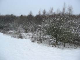 Looking North West from Wildflower Meadow