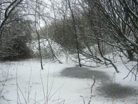 Western end of Winter Wetland