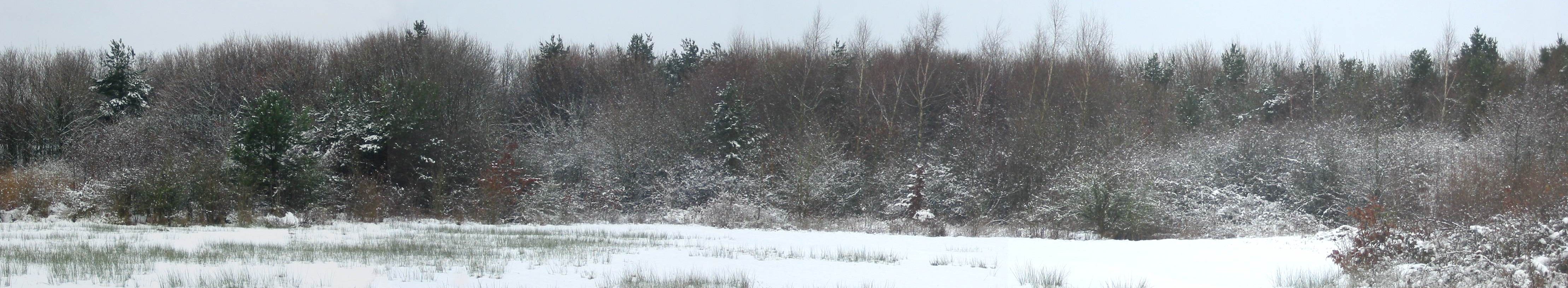 Northern Winter Panorama
    6th January 2010