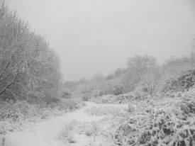 Looking along Spine towards Pond