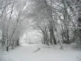 Looking towards Hammond Way entrance