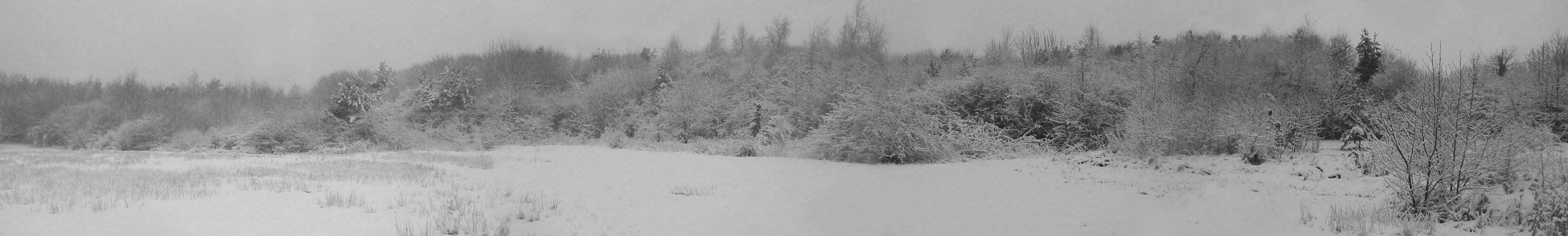 North Western Winter Panorama
    13th January 2010