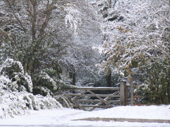 Howardian Local Nature Reserve Snow Nov 2010