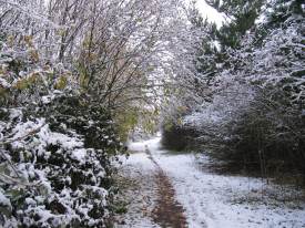 Path to The Heath