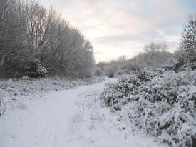 Path from Heath to Pond