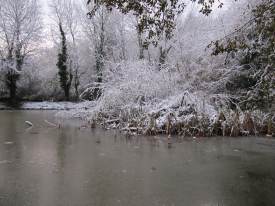 Frozen Pond