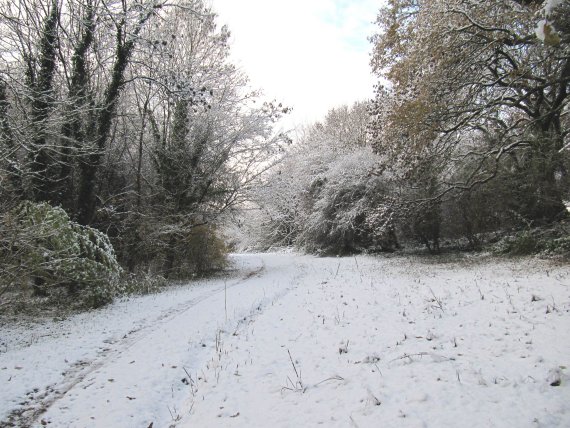 Howardian Local Nature Reserve Snow Nov 2010