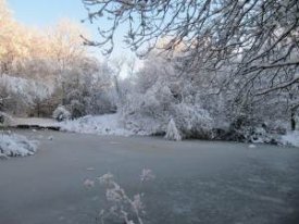 Pond in Snow