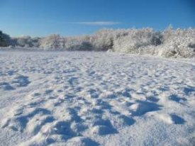 Vetch Meadow Looking West