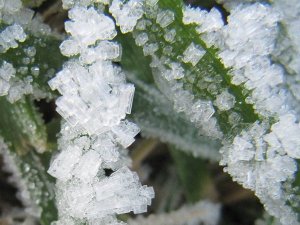 Close up of ice crystals