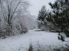 Path to The Heath