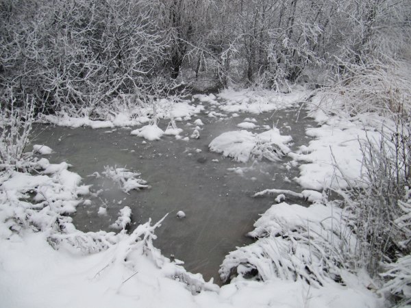 Howardian Local Nature Reserve Snow Jan 2013
