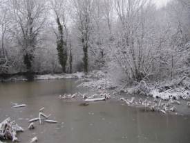 Large Pond