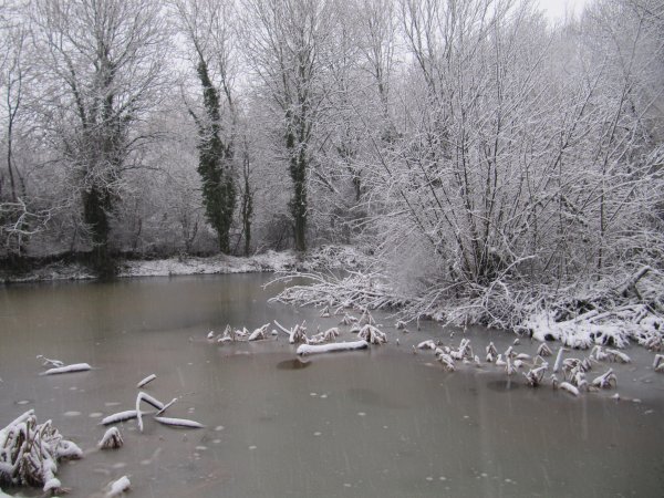 Howardian Local Nature Reserve Snow Jan 2013