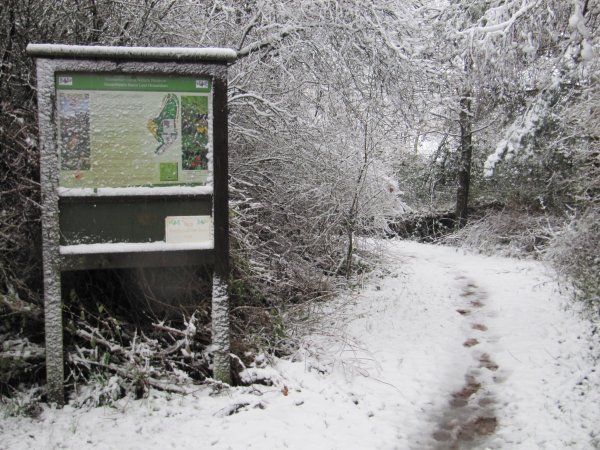 Howardian Local Nature Reserve Snow Jan 2013