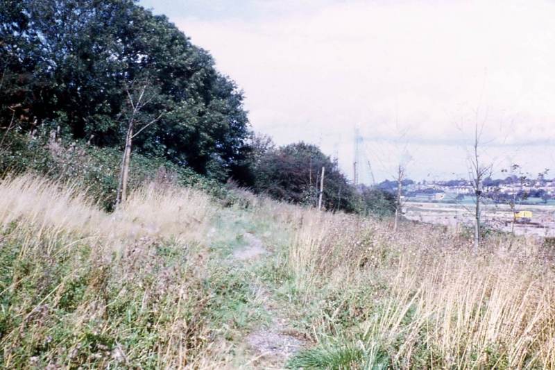 Howardian Local Nature Reserve
  Looking northward toward Eastern Avenue 1974