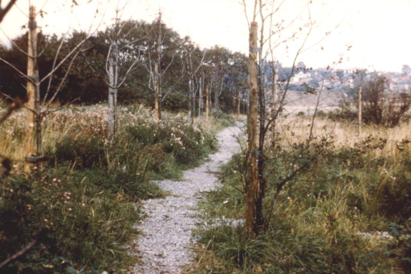 Howardian Local Nature Reserve 1974