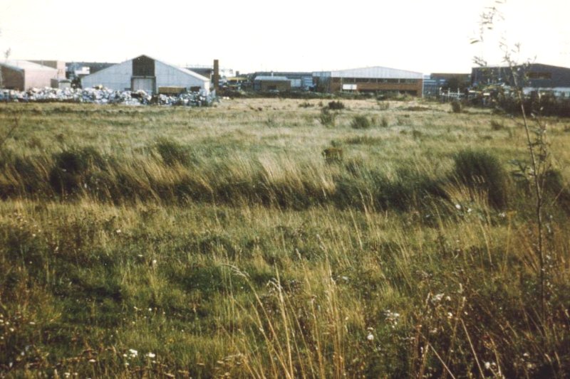 Howardian Local Nature Reserve
  Looking Southward towards Ipswich Road 1974