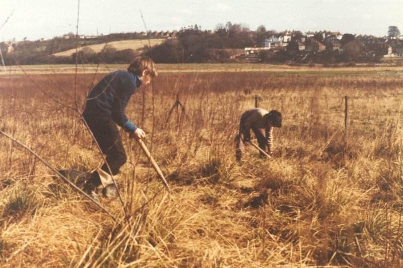 Howardian Local Nature Reserve
  Looking eastward to Rhumney river 1974