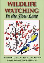 Wildlife Watching ~ In the Slow Lane