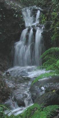 Howardian Local Nature Reserve Waterfall