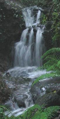 Howardian Local Nature Reserve Waterfall Howardian Local Nature Reserve Waterfall