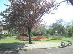 Waterloo Gardens