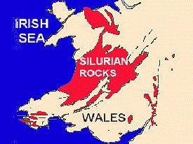 Howardian Local Nature Reserve
  Silurian Wenlock map