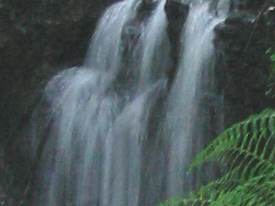 Howardian Local Nature Reserve
  Waterfall